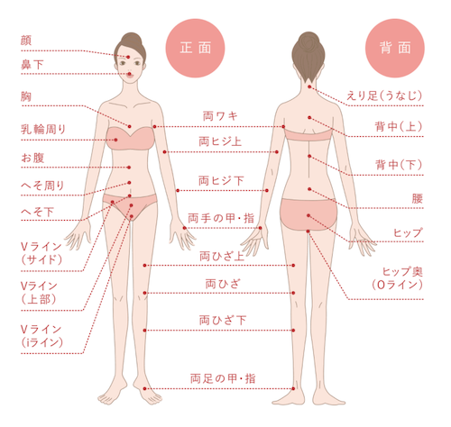 キレイモと銀座カラー を比較 17項目 を比べたら施術がおすすめ 全身脱毛のコスパが良いのはどっち Eclamo エクラモ