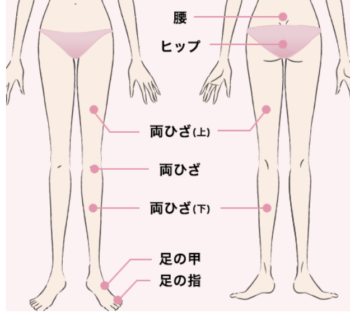 キレイモと銀座カラー を比較 17項目 を比べたら施術がおすすめ 全身脱毛のコスパが良いのはどっち Eclamo エクラモ