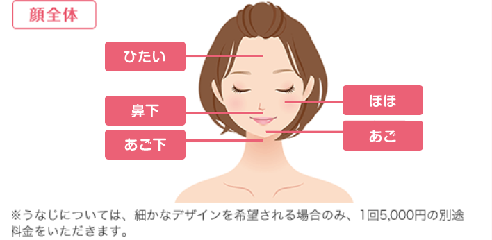 ブランクリニック 顔 範囲
