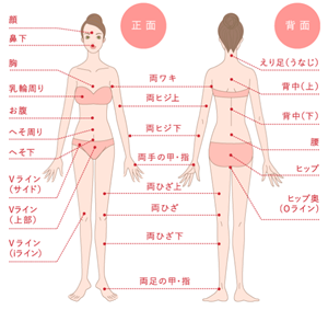 銀座カラー 脱毛範囲