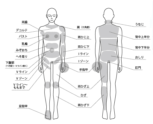 アイエスクリニック 全身脱毛 範囲