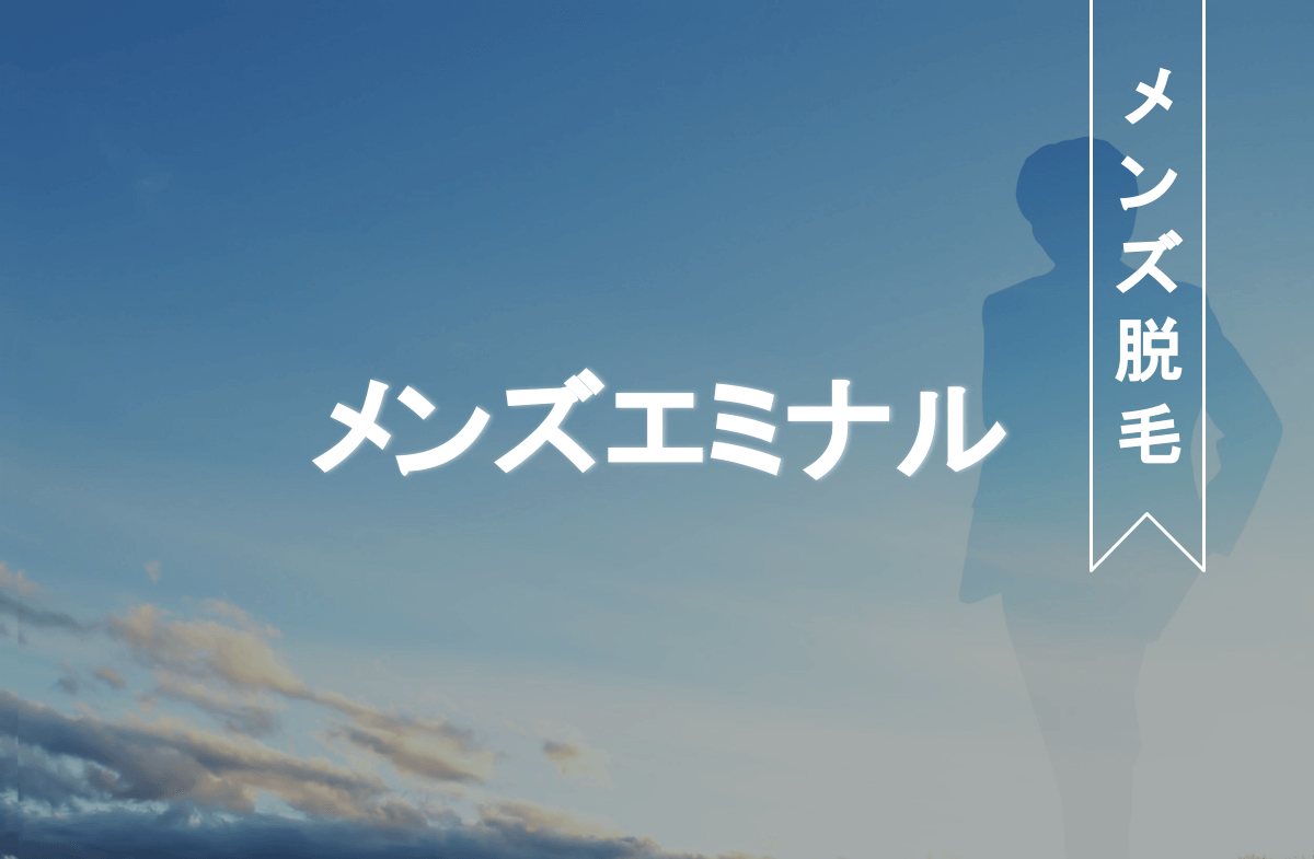 メンズエミナルの口コミ 特徴やヒゲ脱毛の料金 効果は 割引情報も解説 Eclamo エクラモ