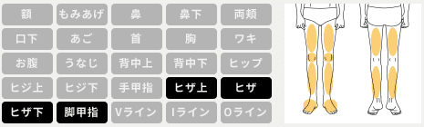 メンズキレイモ 足脱毛 範囲