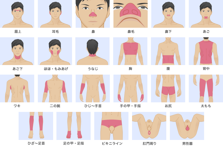 メンズリゼ全身脱毛
