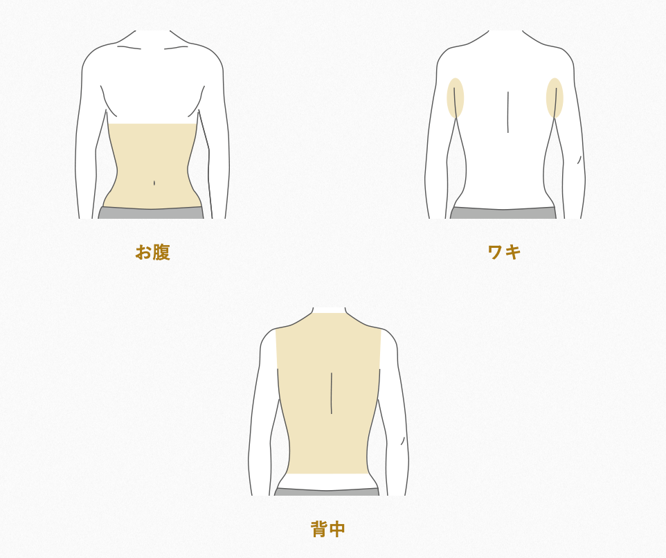 メンズTBC脱毛範囲上半身