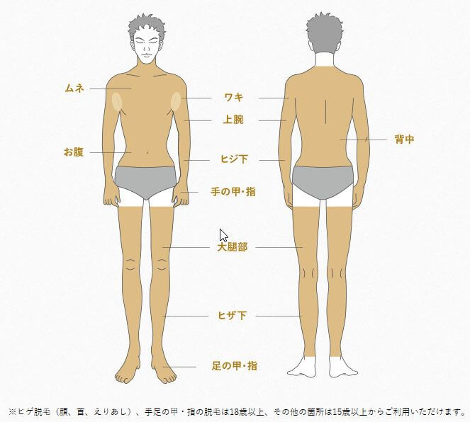 メンズTBCスーパー脱毛 全身脱毛