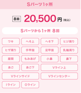レイビスSパーツ料金