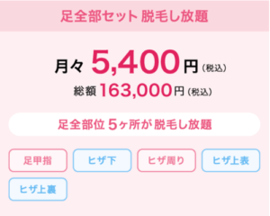 レイビス足脱毛し放題