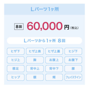 レイビスLパーツ