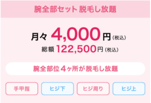 レイビス腕脱毛し放題