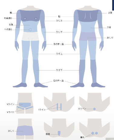 栄セントラルクリニック 体脱毛 脱毛できる範囲