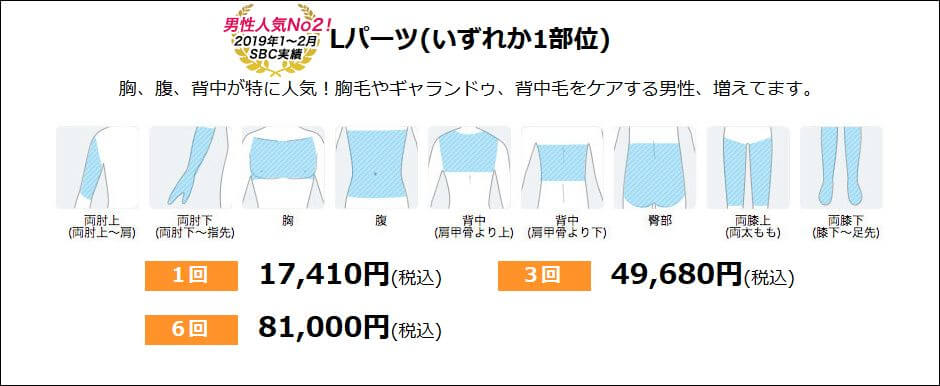湘南美容 Lパーツ 料金
