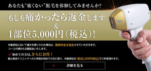 聖心美容クリニック キャンペーン