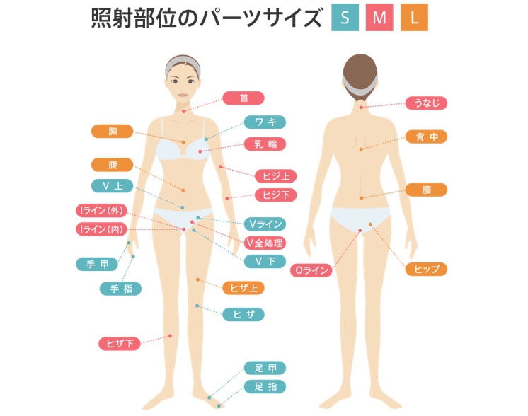 渋谷美容外科 身体 SMLパーツ