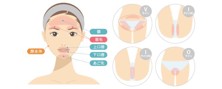渋谷美容外科 顔VIO SMLパーツ