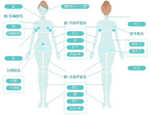 トイトイトイクリニック 脱毛範囲