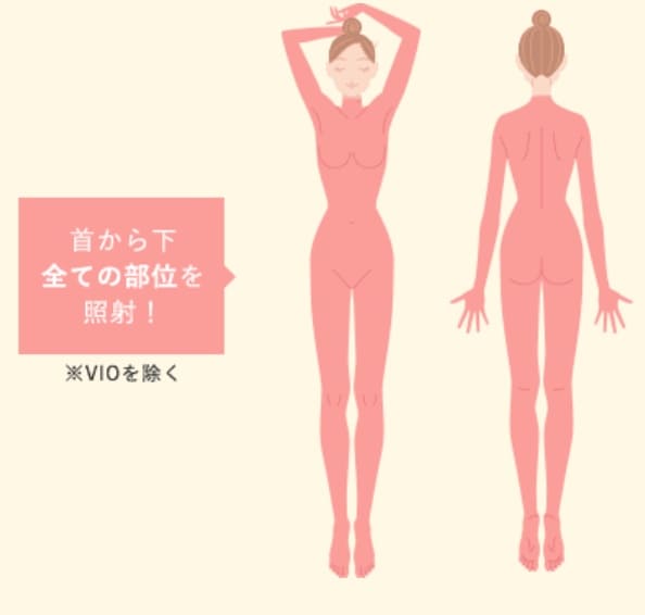 ウィクリニック 全身脱毛プレミアム 脱毛範囲