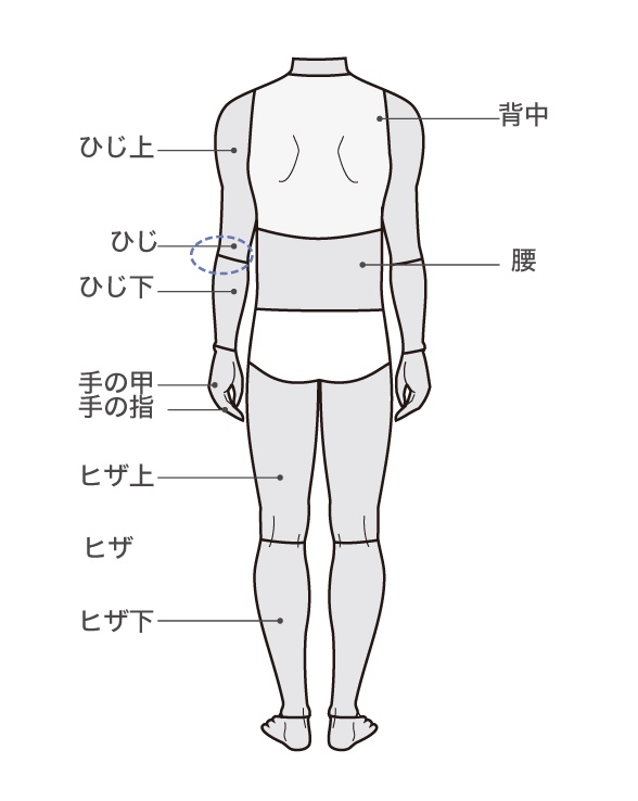 横浜中央クリニック 全身脱毛 背面範囲